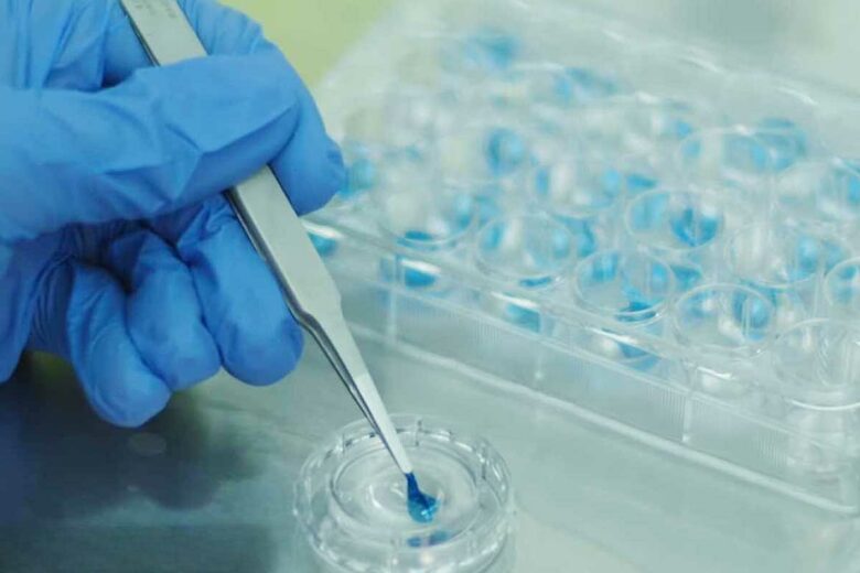 Des cornées imprimées en 3D.