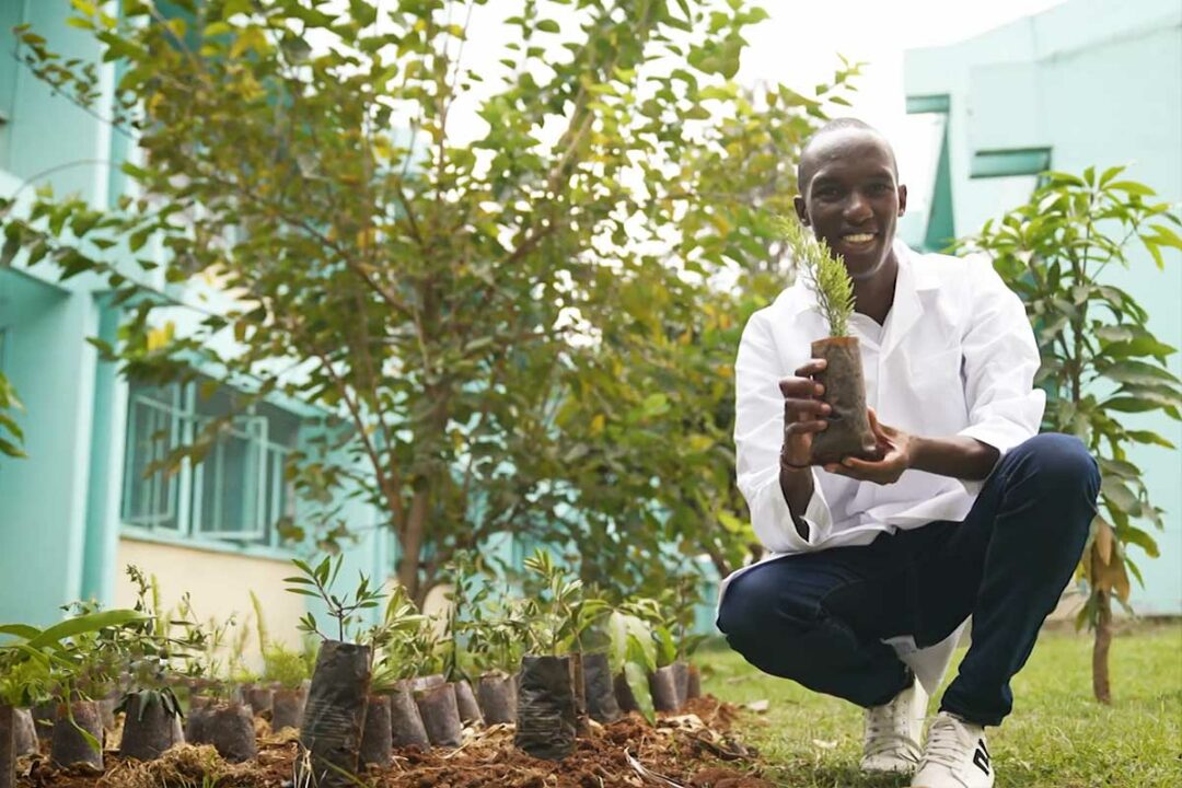 Des sacs en matière biodégradable.