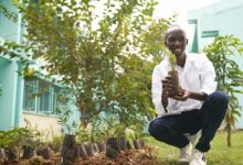 Des sacs en matière biodégradable.