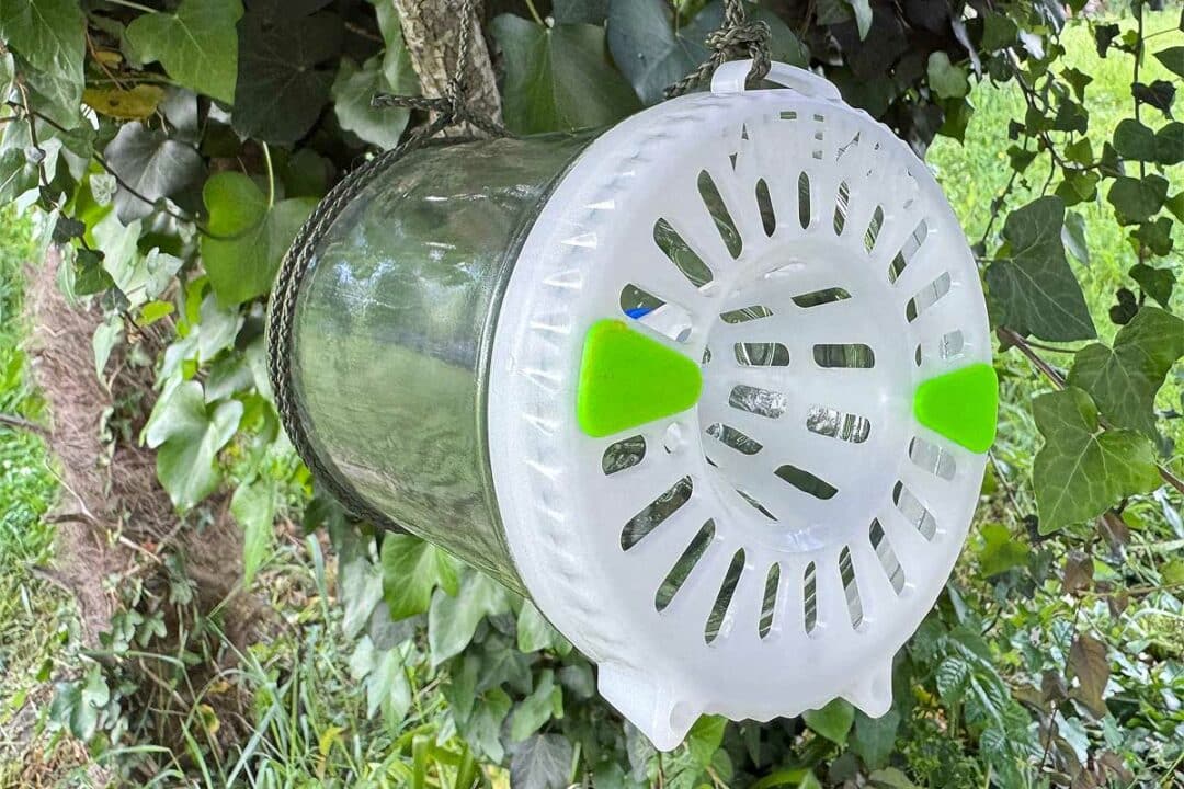 Un piège à frelon doté de la technologie UV.