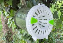 Un piège à frelon doté de la technologie UV.