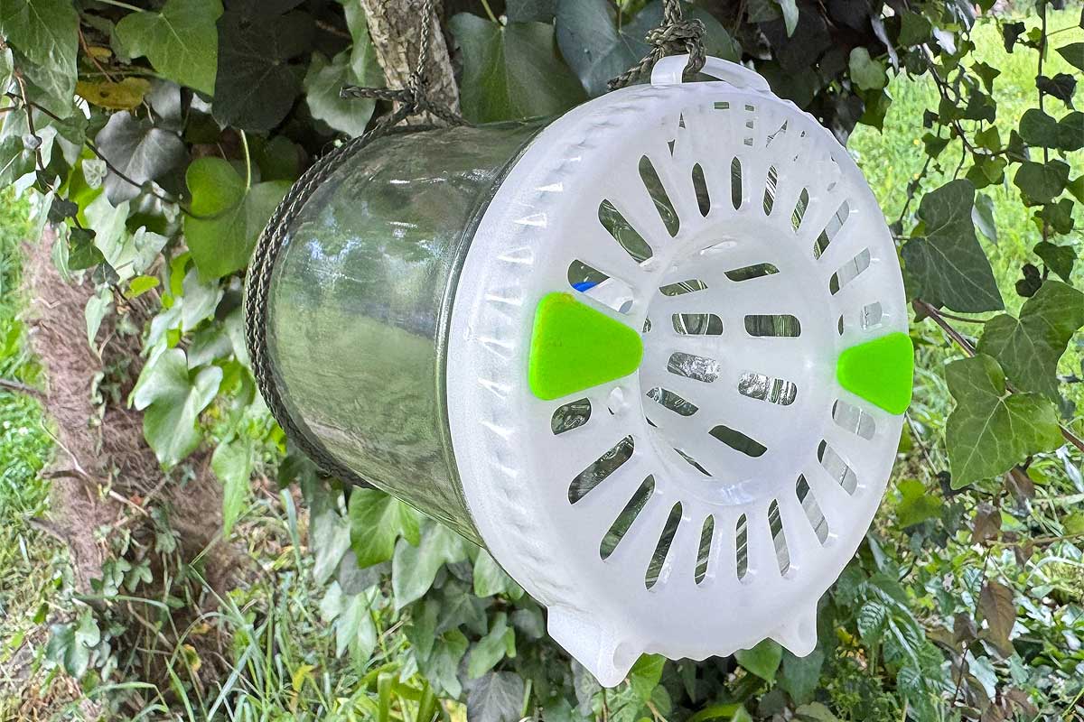 Un piège à frelon doté de la technologie UV.
