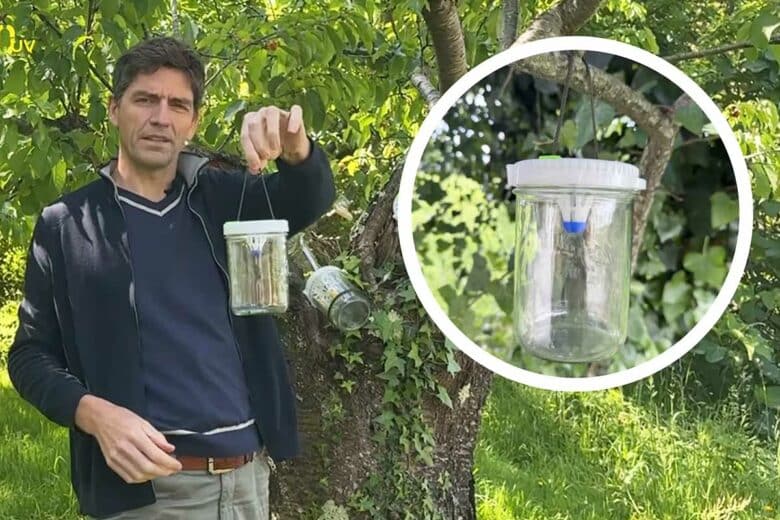 Présentation du piège Ornetin UV.