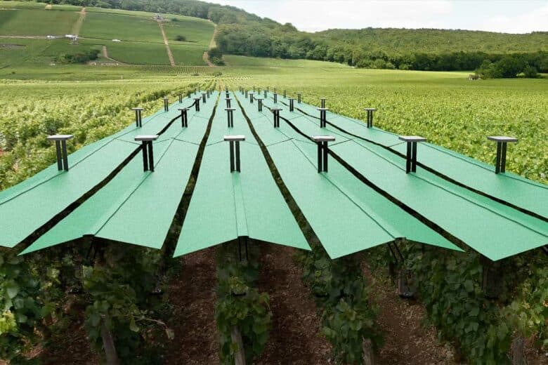 Un système qui protège les vignes.