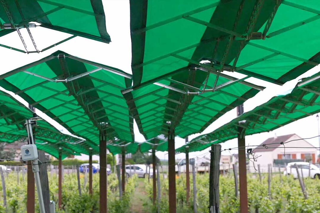 Le système Canopée de Bienesis.