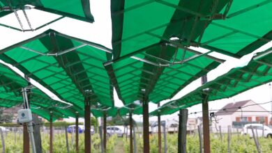 Le système Canopée de Bienesis.