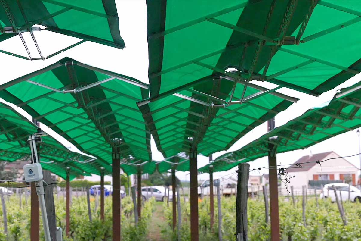 Le système Canopée de Bienesis.