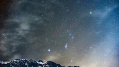 Observation du ciel étoilé dans une zone de montagnes.