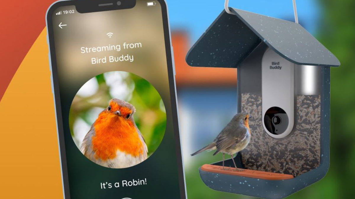 Mangeoire à oiseaux intelligente avec caméra Mangeoire à oiseaux