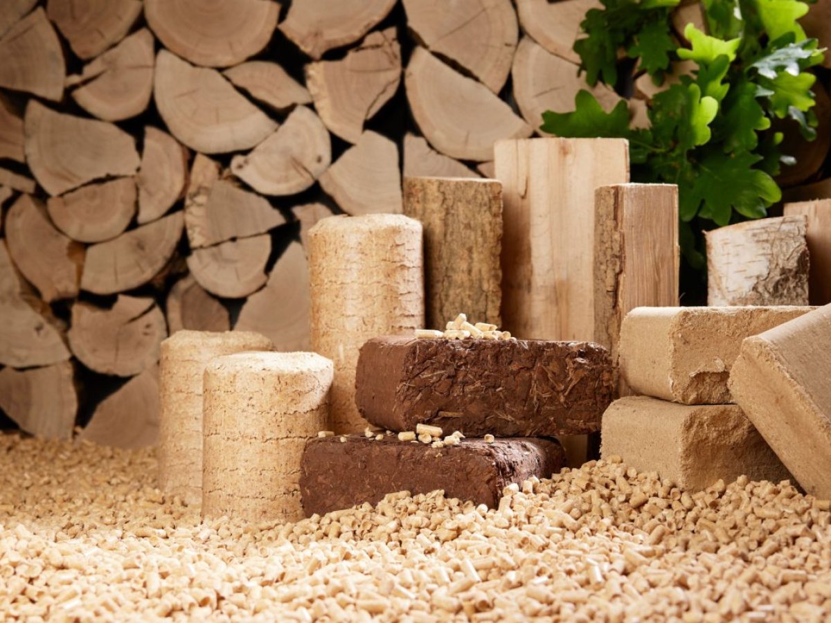 Les bûches de bois compressées, une alternative plus économique pour se  chauffer ? - NeozOne