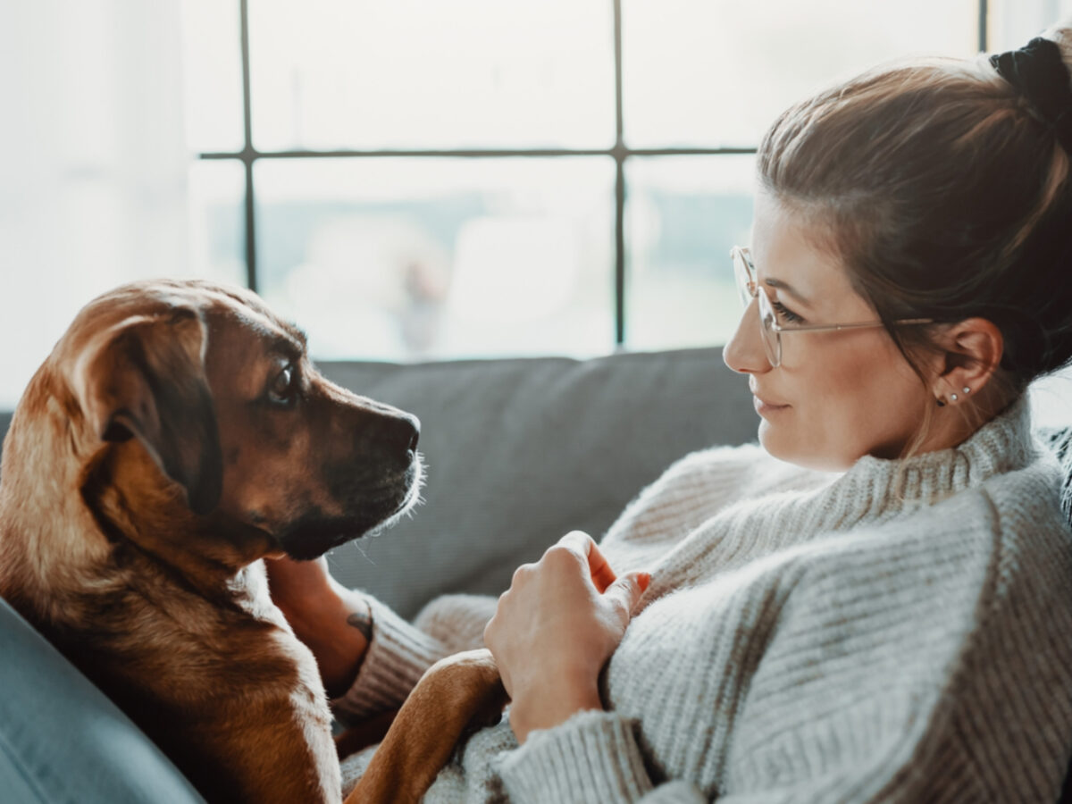 Les Comportementalistes Vous Deconseillent Fermement D Aboyer Sur Votre Chien Comme Sur Tik Tok Neozone