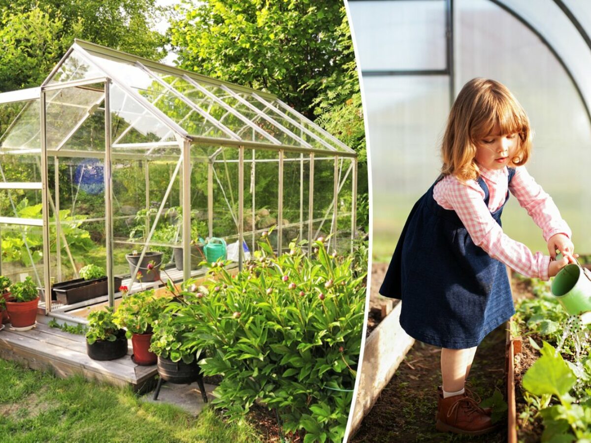 Serre pour jardin : Devis sur Techni-Contact - Serre pour jardinnage