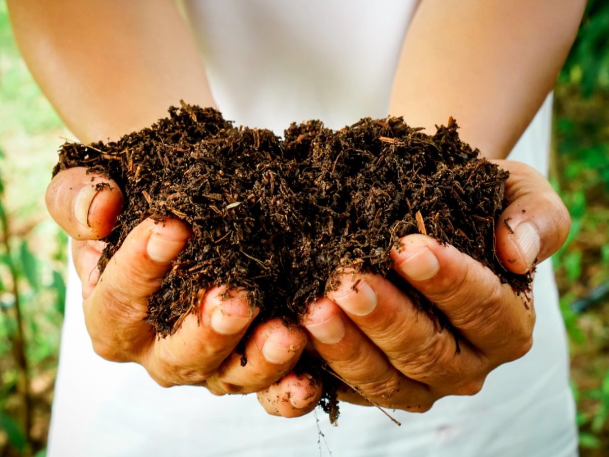 Comment accélérer son compost naturellement ? - NeozOne