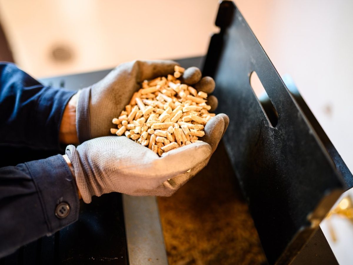 Ces substances que nous cachent pellets et granulés de bois