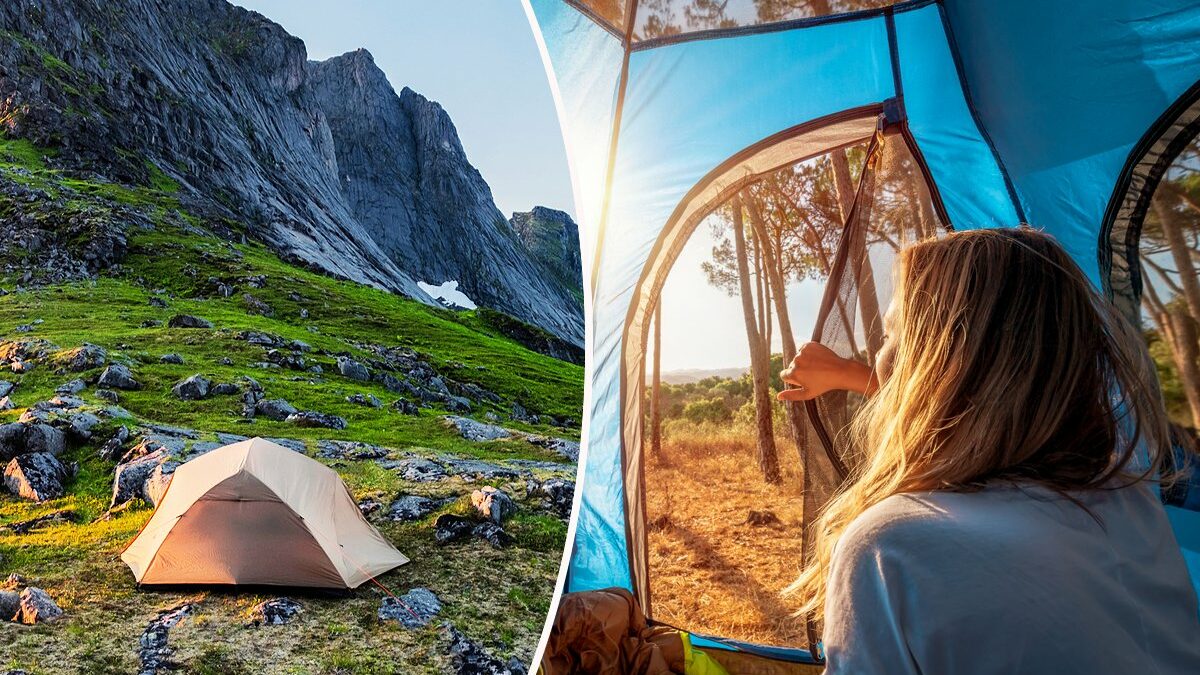 Guide d'achat : comment bien choisir sa tente de camping (modèle, poids,  taille, budget) - dossier - NeozOne
