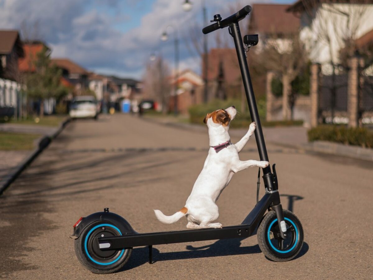 Réparation de trottinette électrique : tout ce qu'il faut savoir - Chacun  sa route