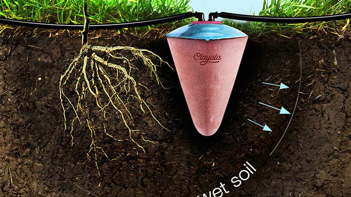Poto, l'invention d'un diffuseur d'eau en terre cuite pour économiser l'eau  d'arrosage - NeozOne