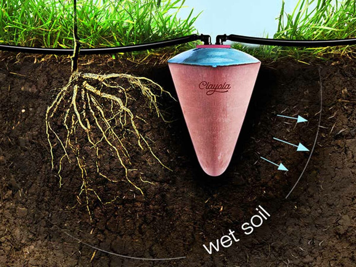Clayola : l'invention d'un système d'irrigation en terre cuite économe en  eau qui arrose les plantes pendant 30 jours - NeozOne