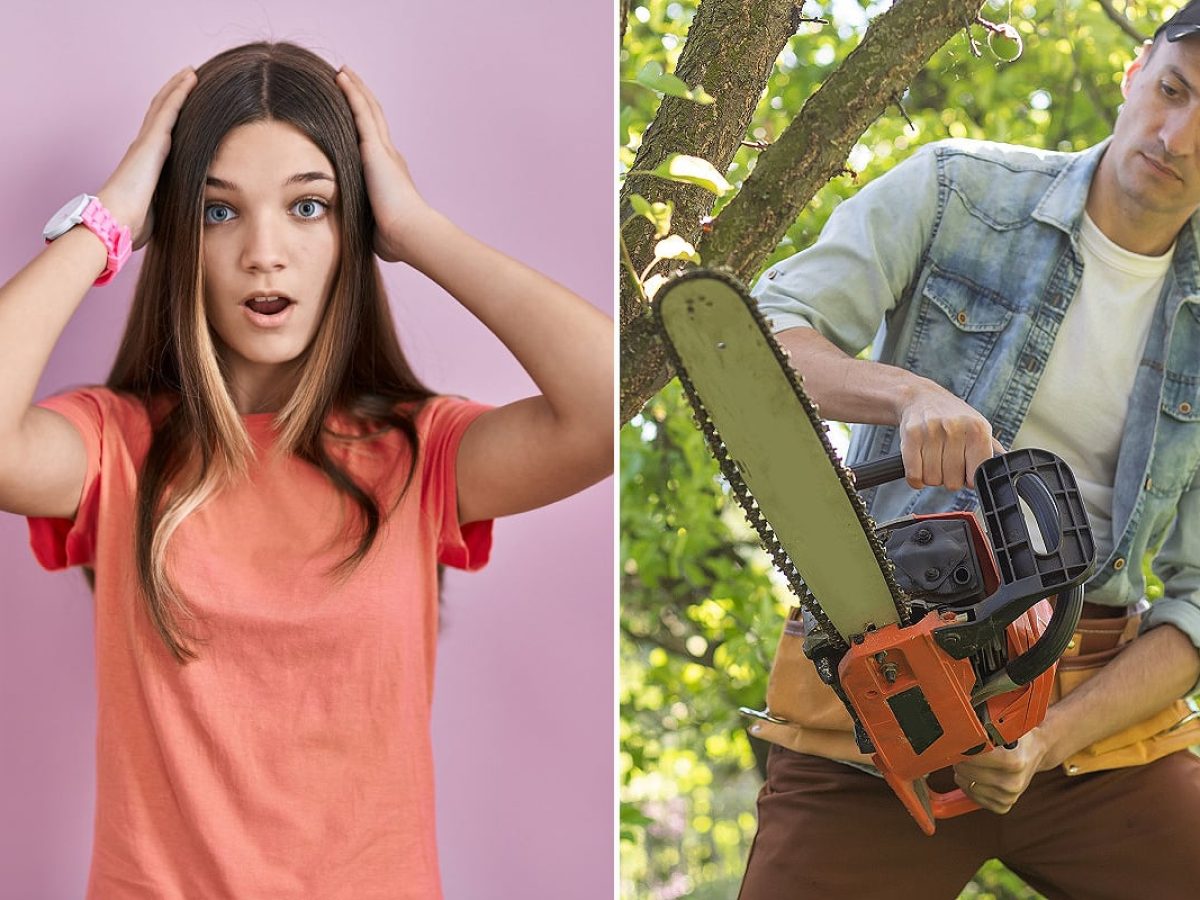 Pourquoi Les Tronconneuse On Ete Invente Pourquoi la tronçonneuse a été inventée ? (couchez les enfants, c'est  morbide) - NeozOne