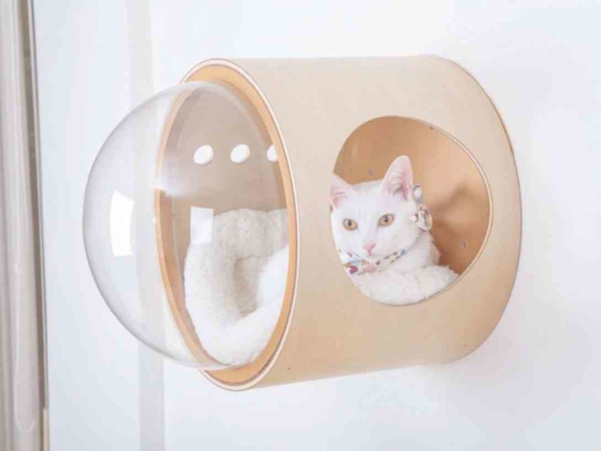 Spaceship Les Niches Pour Chat En Forme De Capsule Spatiale Neozone Spaceship Les Niches Pour Chat En Forme De Capsule Spatiale Neozone
