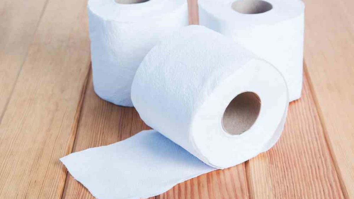 Papier toilette biodégradable : les 4 produits écoresponsables à adopter