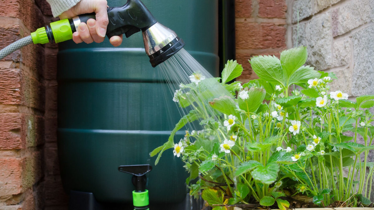 Comment Faire Une Schéma Les Buse Pour Un Arrosage Automatique Comment installer un système d'arrosage automatique sur un récupérateur d'eau de pluie ? - NeozOne