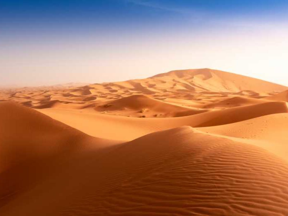 Pénurie de sable : pourquoi le sable du Sahara ne peut pas être utilisé  pour la construction ? - NeozOne
