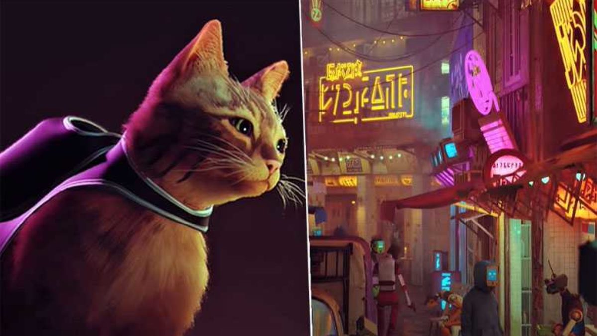 Dans Ce Jeu Video Vous Incarnez Un Petit Chat Neozone
