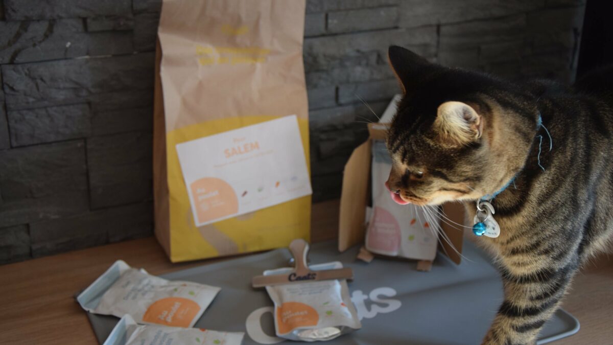 Nous avons testé (nos chats) l'alimentation 100% française CAATS - NeozOne