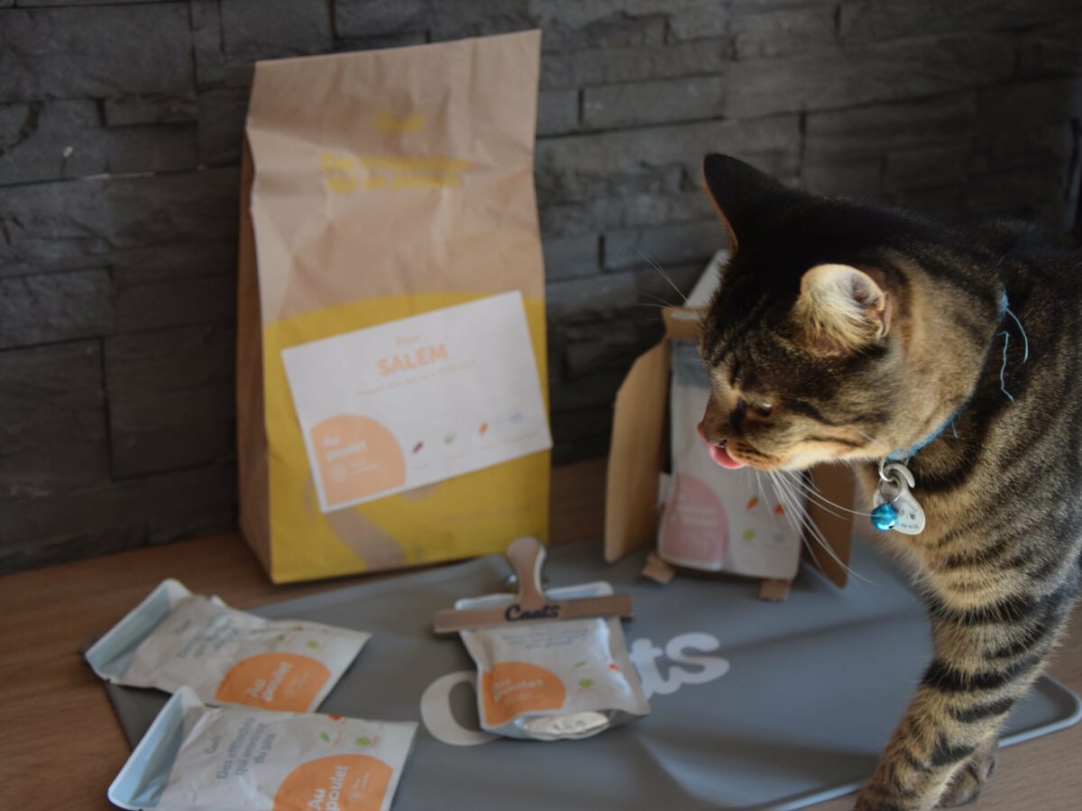 Nous avons testé (nos chats) l'alimentation 100% française CAATS - NeozOne