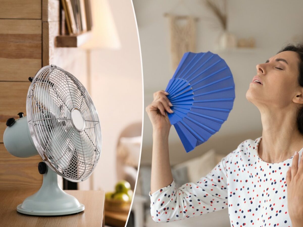 Comment Trouver Le Schema D une Piece Electromenager Ventilateur Connaissez-vous (réellement) la meilleure des manières d'utiliser un ventilateur ? - NeozOne